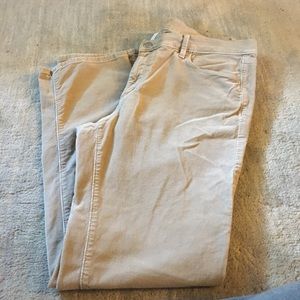 Loft Khaki Cords